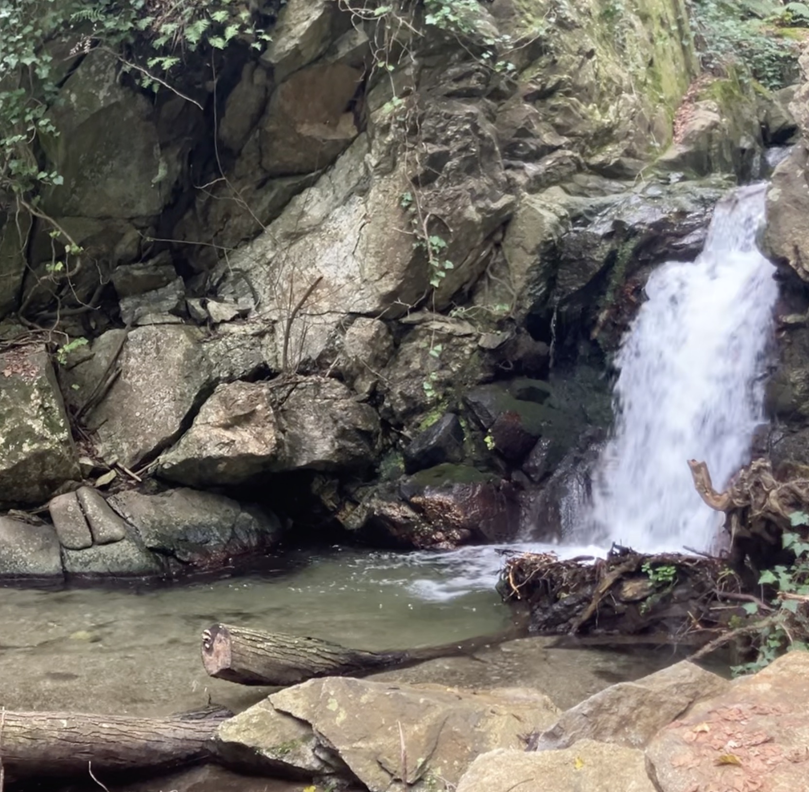 Brett Jaye — Jikiden Reiki Practitioner